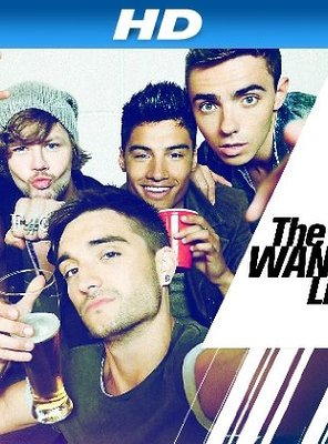 Poster of The Wanted Life
