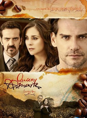Poster of Quiero amarte