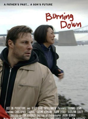 Poster of Burning Down