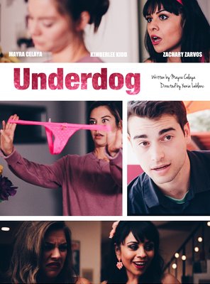 Poster of The Underdog
