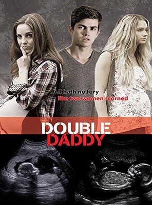 Poster of Double Daddy